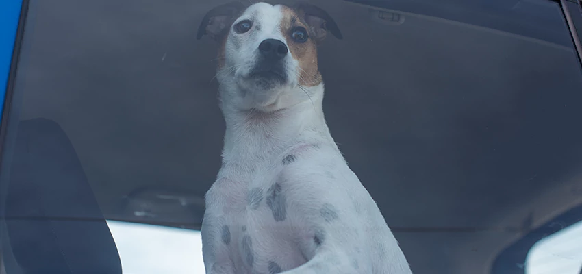 Car Lockout Solutions in Covina, California